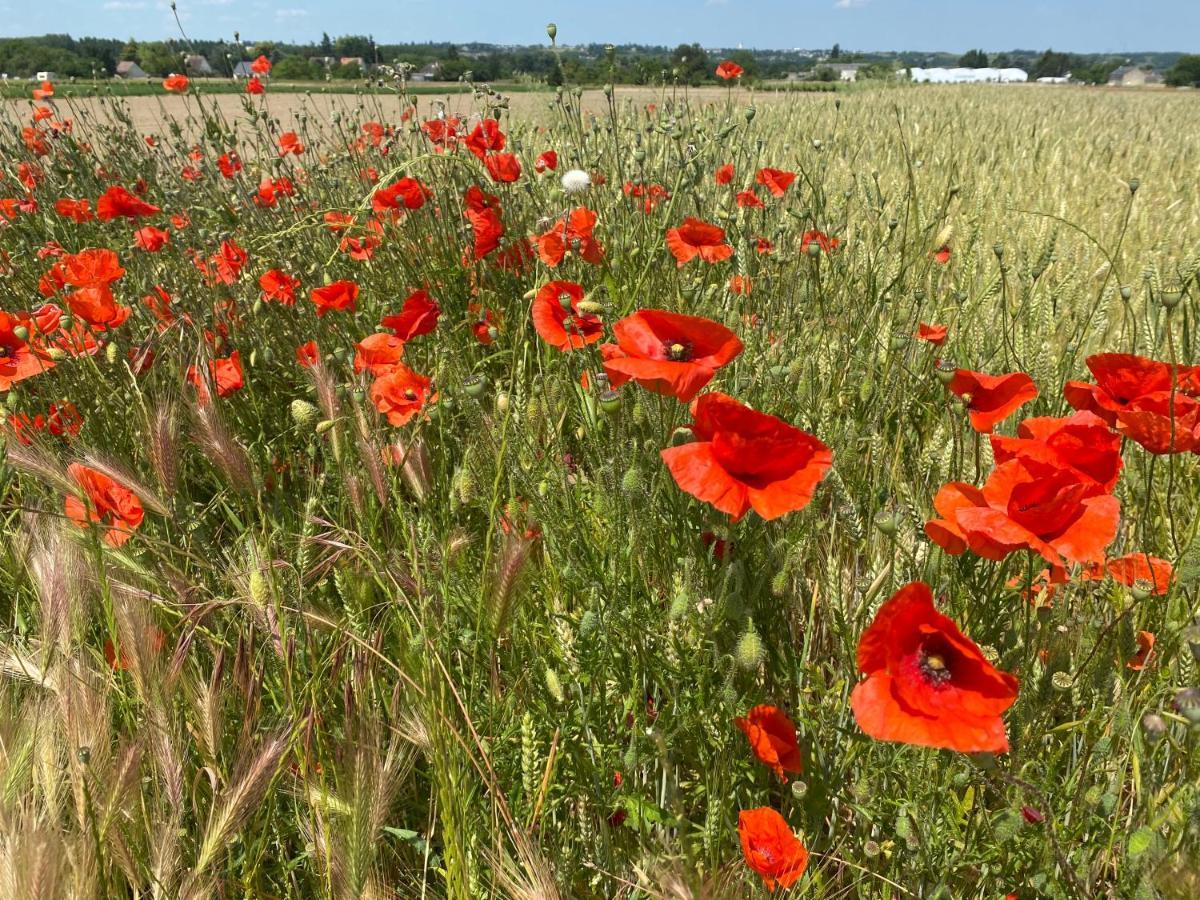 L'Ecrin De Verdure Ligré Eksteriør bilde