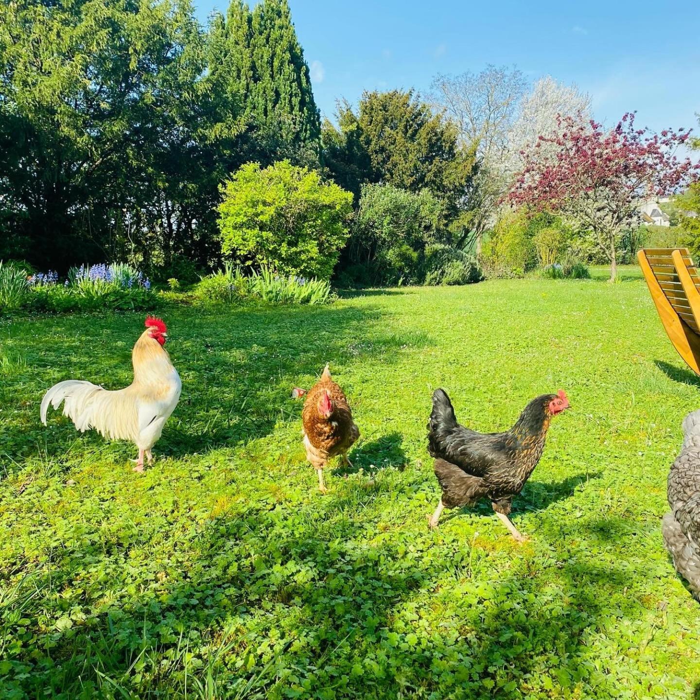 L'Ecrin De Verdure Ligré Eksteriør bilde